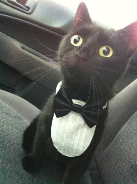 morning picdump 50 pics 3.html - 50 HD Photos | Premium Gallery 2016