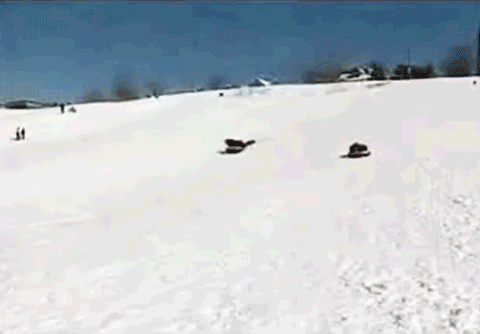 Compilation Of The Best Live News Bloopers In Gifs