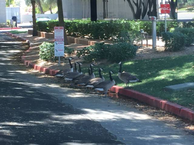 morning picdump 52 pics 19.html - 52 HD Photos | Premium Gallery 2016