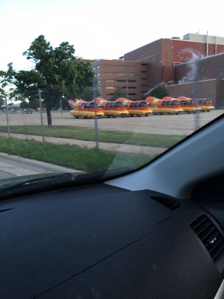 morning picdump 52 pics 19.html - 52 HD Photos | Premium Gallery 2016