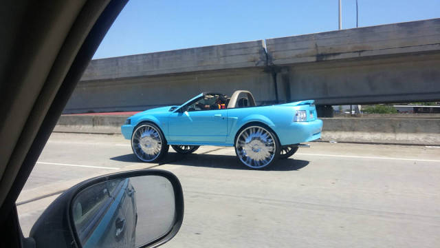 Morning Picdump