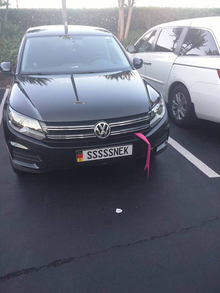 morning picdump 50 pics 15.html - 50 HD Photos | Premium Gallery 2016