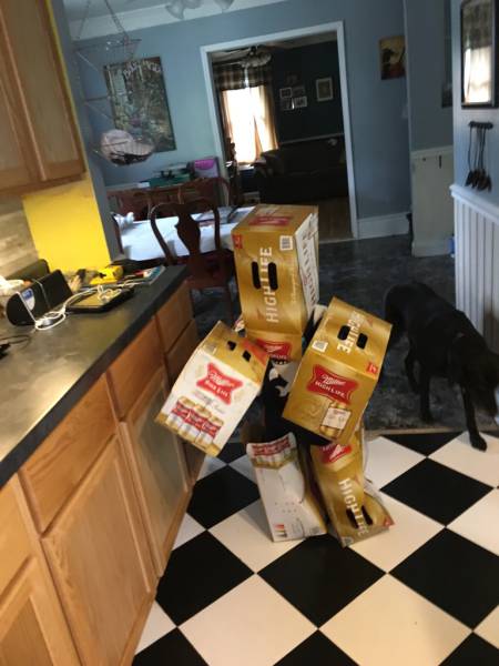 morning picdump 50 pics 15.html - 50 HD Photos | Premium Gallery 2016