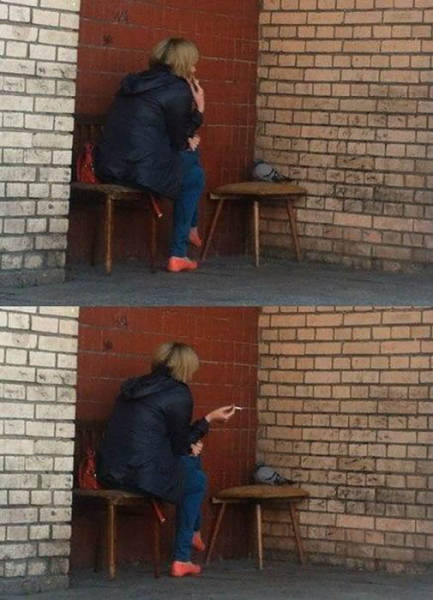 Morning Picdump