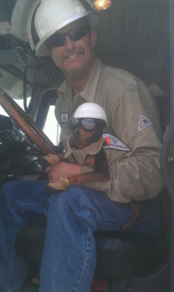 morning picdump 50 pics 15.html - 50 HD Photos | Premium Gallery 2016