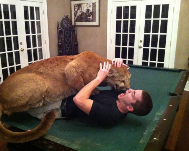 Morning Picdump