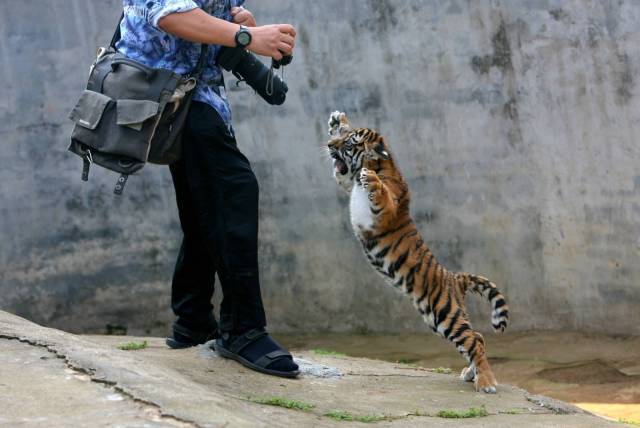 Daily Picdump