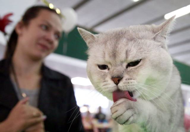 Daily Picdump