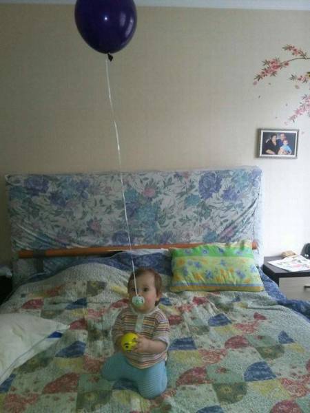 Daily Picdump