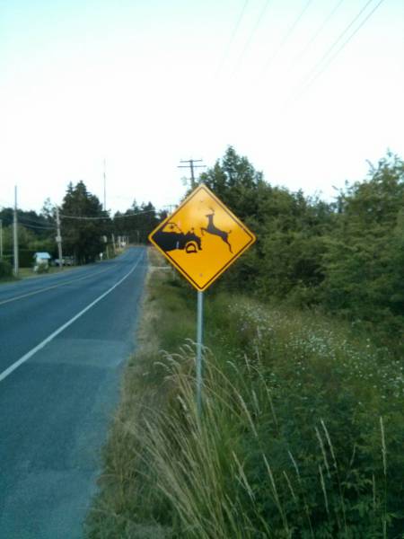 morning picdump 53 pics 27.html - 53 HD Photos | Premium Gallery 2016