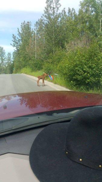 morning picdump 58 pics 24.html - 58 HD Photos | Premium Gallery 2016