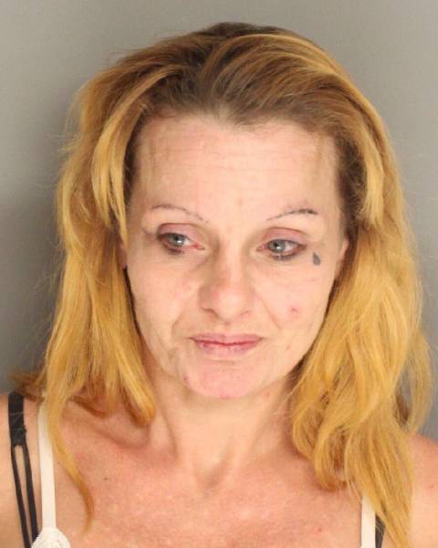 Mugshots Of American Prostitutes