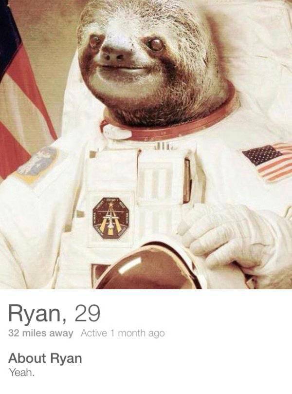 Hilarious And WTF Tinder Profiles
