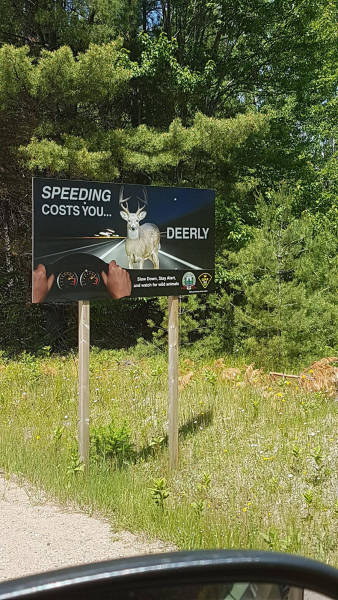 morning picdump 52 pics 7.html - 52 HD Photos | Premium Gallery 2016