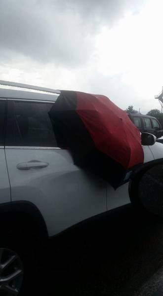 morning picdump 52 pics 7.html - 52 HD Photos | Premium Gallery 2016