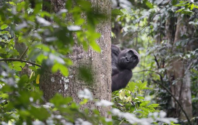 morning picdump 52 pics 7.html - 52 HD Photos | Premium Gallery 2016