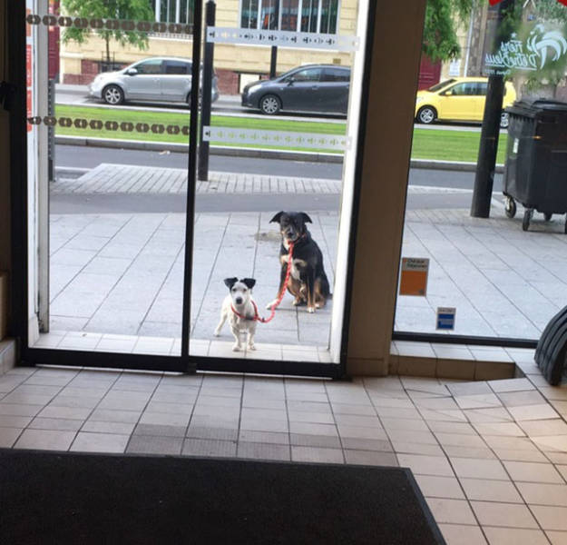 Morning Picdump