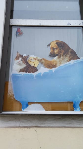 Morning Picdump
