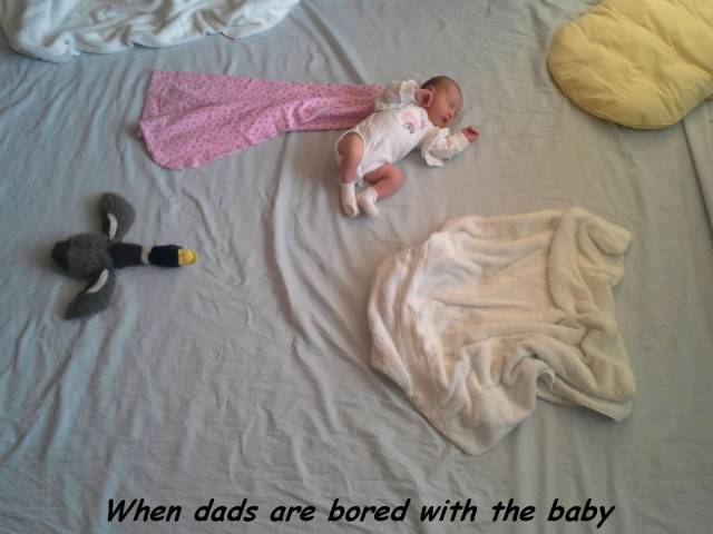Daily Picdump