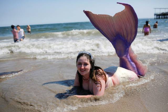 Daily Picdump