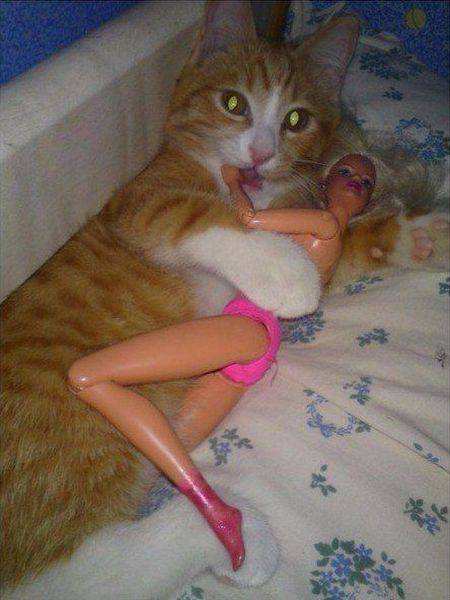 daily picdump 107 pics 23.html - 107 HD Photos | Premium Gallery 2016