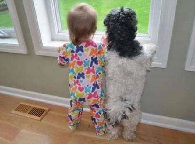 daily picdump 107 pics 23.html - 107 HD Photos | Premium Gallery 2016