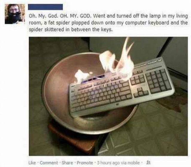 daily picdump 107 pics 23.html - 107 HD Photos | Premium Gallery 2016