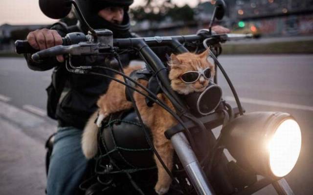 daily picdump 107 pics 23.html - 107 HD Photos | Premium Gallery 2016
