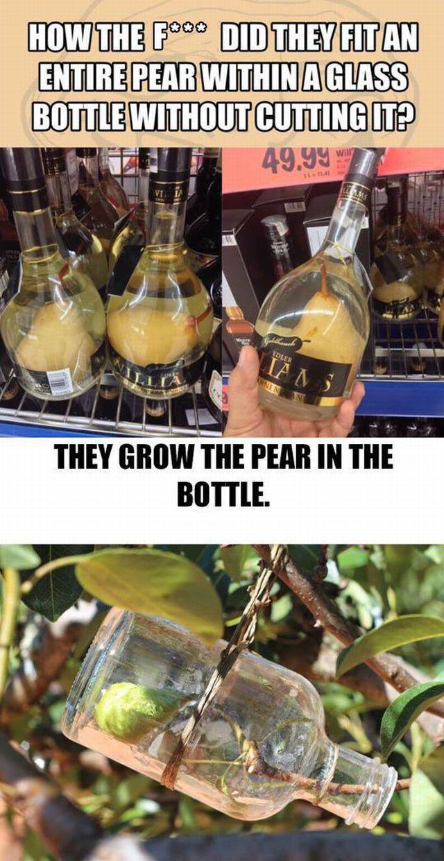 daily picdump 107 pics 23.html - 107 HD Photos | Premium Gallery 2016