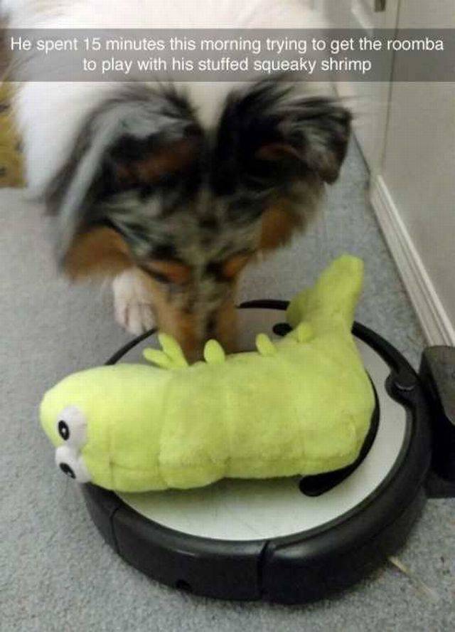 daily picdump 107 pics 23.html - 107 HD Photos | Premium Gallery 2016