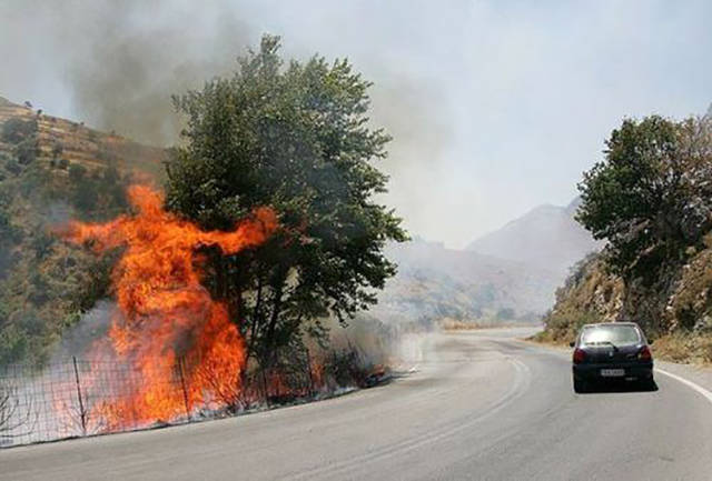 morning picdump 50 pics 23.html - 50 HD Photos | Premium Gallery 2016