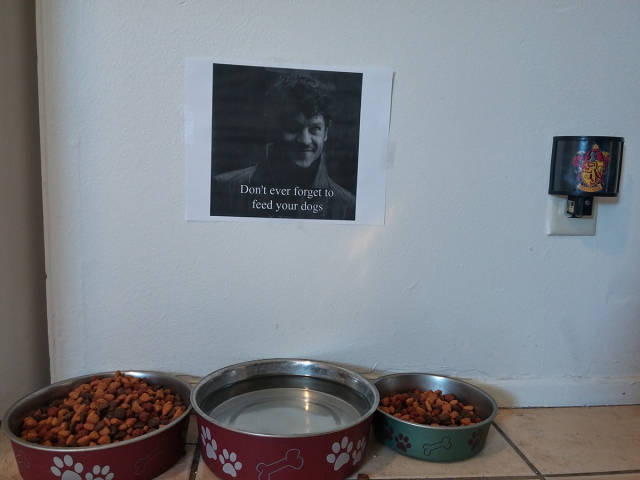 morning picdump 50 pics 4.html - 50 HD Photos | Premium Gallery 2016