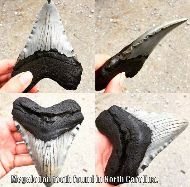 morning picdump 50 pics 4.html - 50 HD Photos | Premium Gallery 2016