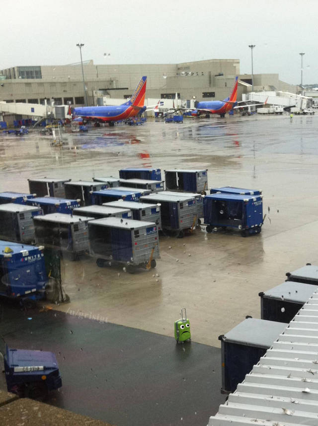 morning picdump 50 pics 4.html - 50 HD Photos | Premium Gallery 2016