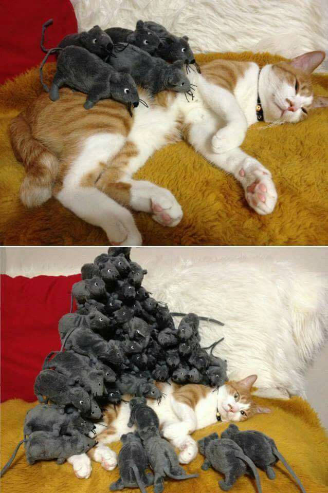 morning picdump 50 pics 4.html - 50 HD Photos | Premium Gallery 2016