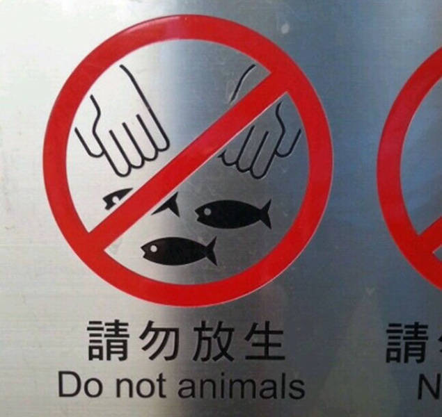 Asian Translation Fails That Are Both Hilarious And Bloodcurdling