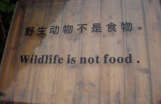 Asian Translation Fails That Are Both Hilarious And Bloodcurdling