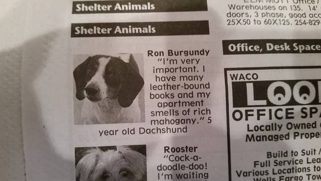 Morning Picdump
