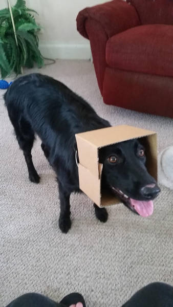 morning picdump 50 pics 24.html - 50 HD Photos | Premium Gallery 2016