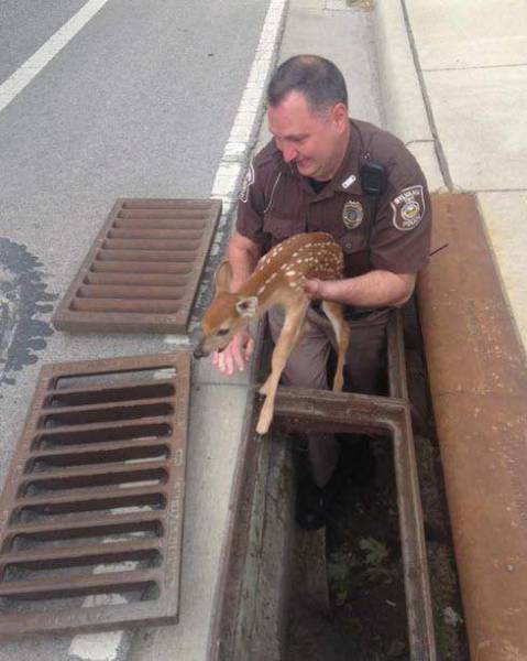 morning picdump 50 pics 24.html - 50 HD Photos | Premium Gallery 2016