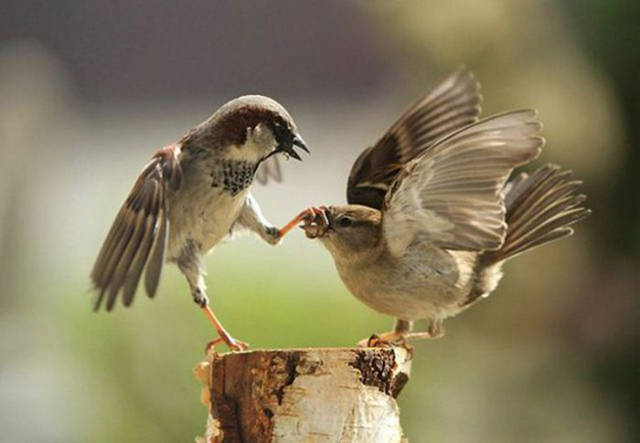 There’s Nothing Better Than Perfectly Timed Photos