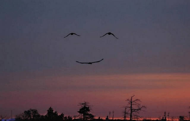 There’s Nothing Better Than Perfectly Timed Photos