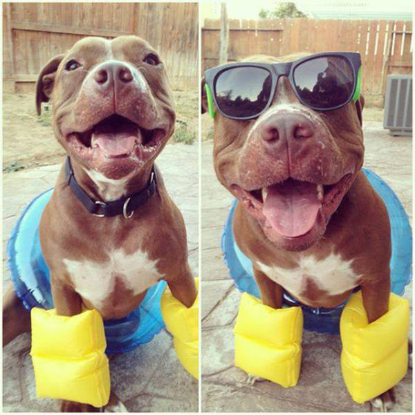 Morning Picdump