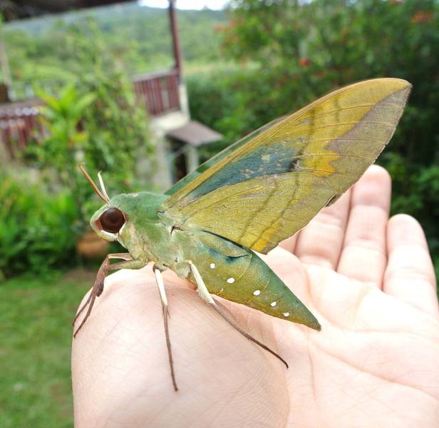 morning picdump 51 pics 20.html - 51 HD Photos | Premium Gallery 2016