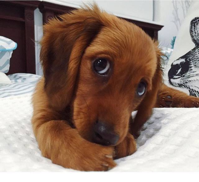 morning picdump 51 pics 20.html - 51 HD Photos | Premium Gallery 2016