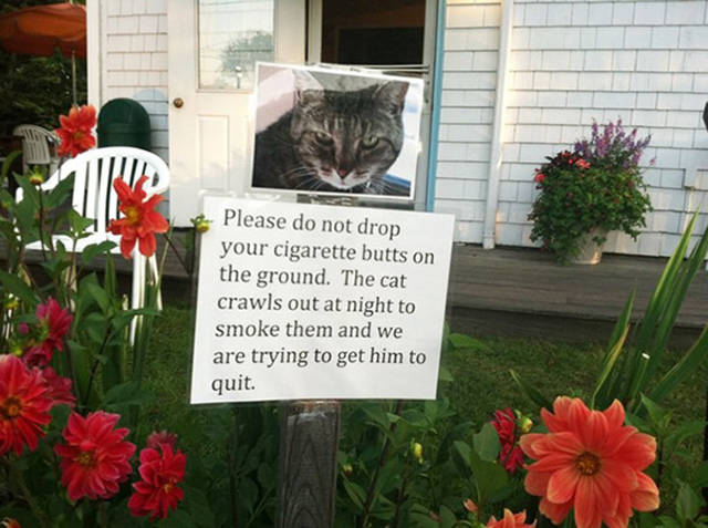 Funny Yard Signs That Are Impossible Not To Notice