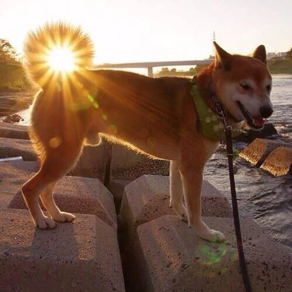 morning picdump 50 pics 4.html - 50 HD Photos | Premium Gallery 2016