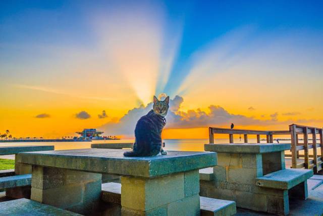 morning picdump 54 pics 15.html - 54 HD Photos | Premium Gallery 2016