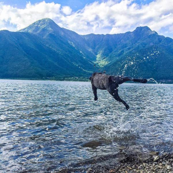 daily picdump 100 pics 34.html - 100 HD Photos | Premium Gallery 2016