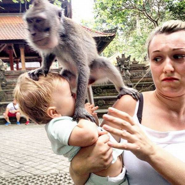 daily picdump 100 pics 34.html - 100 HD Photos | Premium Gallery 2016